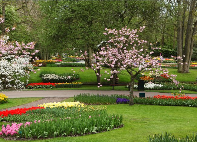 Photo of Landscaping Ramirez