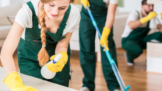 Photo of Wenylu's House Cleaning Services