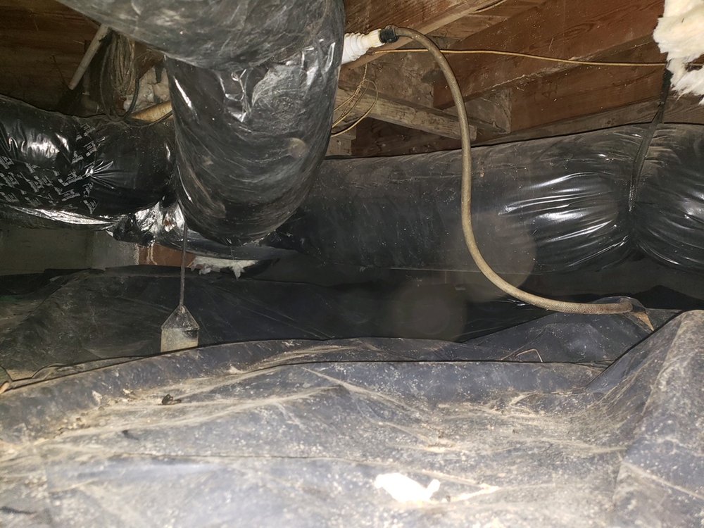Photo of Clean Crawls - Insulation Install & Removal: Lakewood
