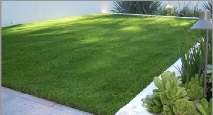 Photo of Purchase Green Artificial Grass