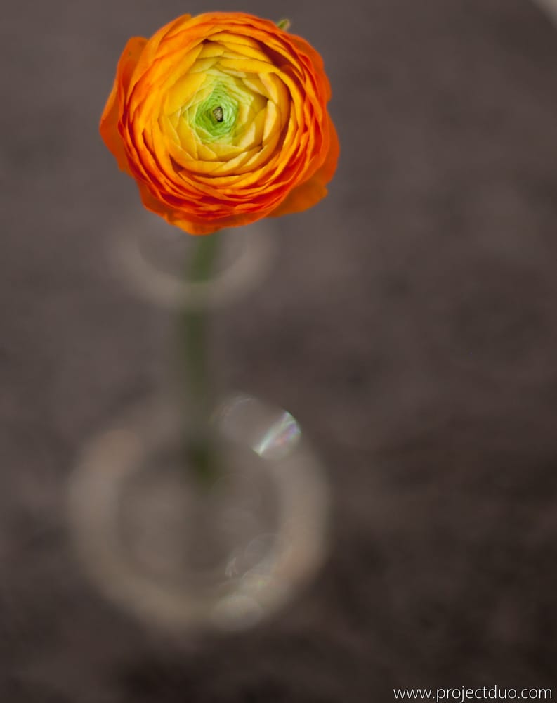 Photo of Aesthetic Floral & Event Artistry