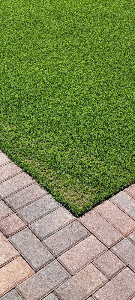 Photo of Tough Turtle Turf - Las Vegas