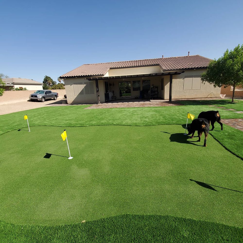 Photo of Tough Turtle Turf - Las Vegas