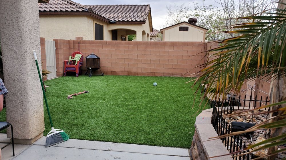 Photo of Tough Turtle Turf - Las Vegas