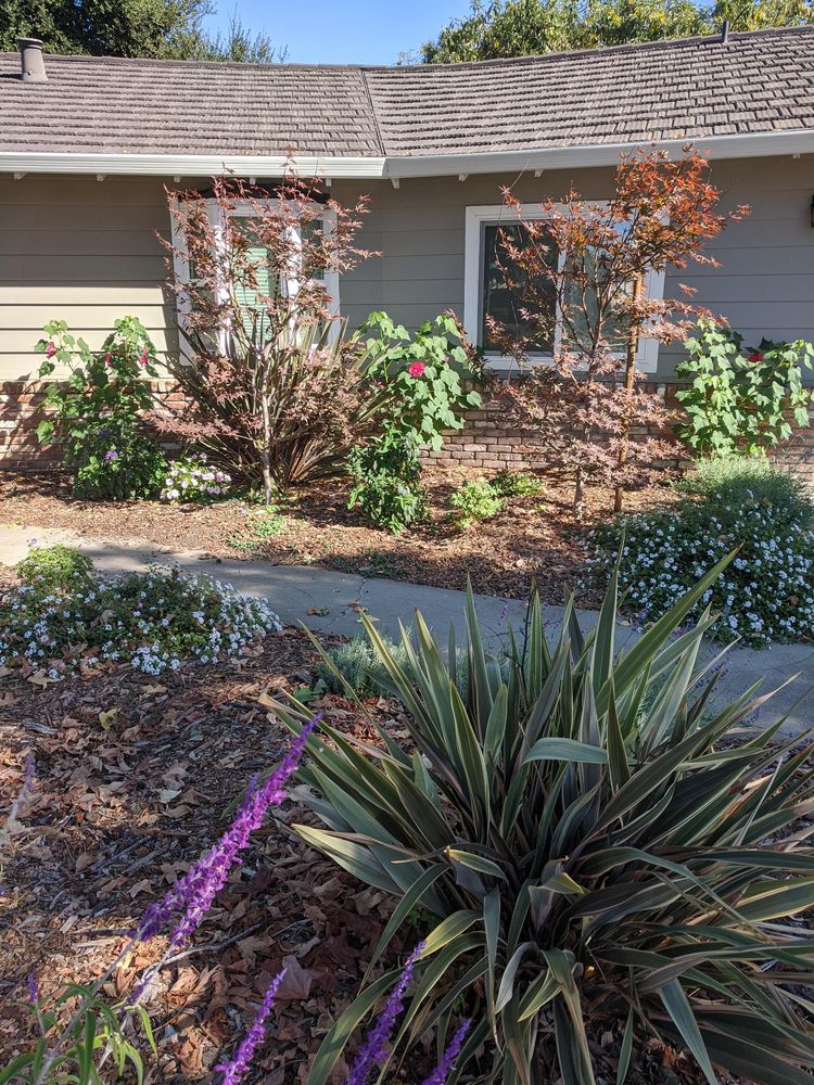 Photo of Shubha Landscape Design