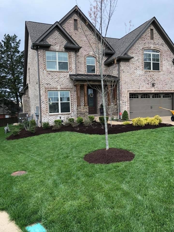 Photo of Signature Stripe Lawn and Landscaping