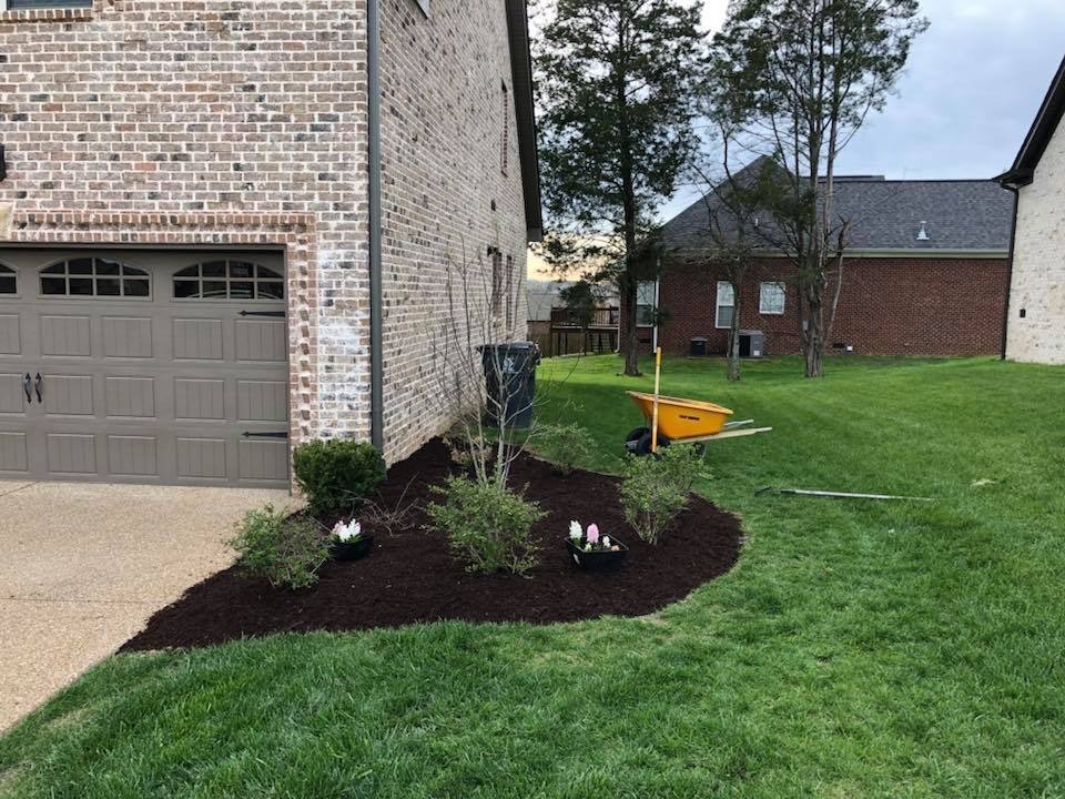 Photo of Signature Stripe Lawn and Landscaping