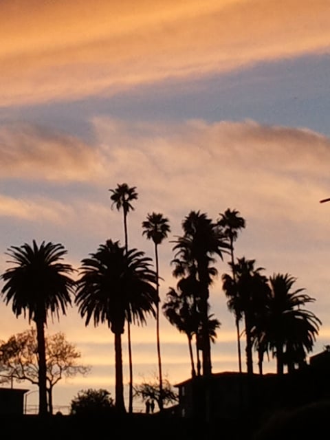 Photo of Bookkeeping In The Sun - San Diego
