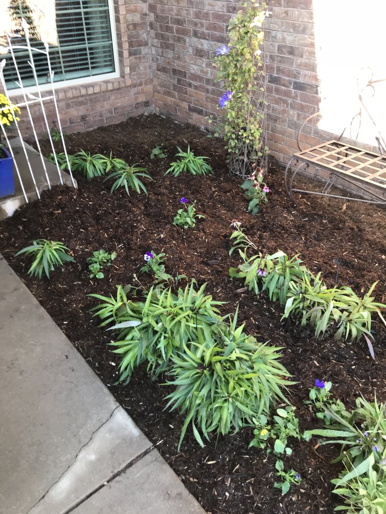 Photo of Top Choice Lawn Care
