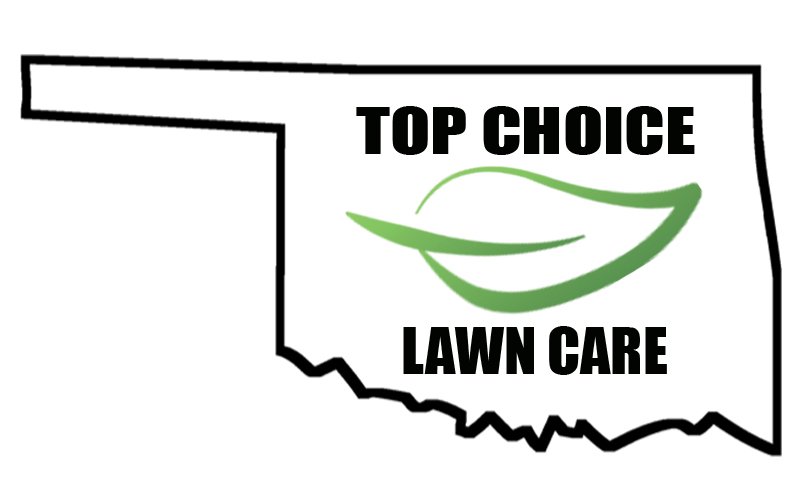 Photo of Top Choice Lawn Care