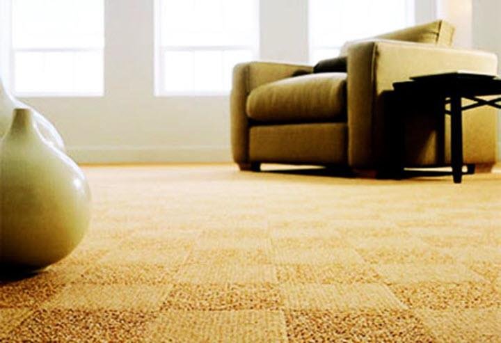 Photo of Full House Carpet Cleaning