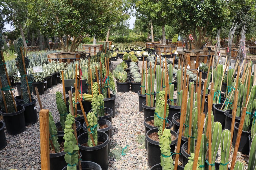 Photo of Moon Valley Nurseries Arcadia