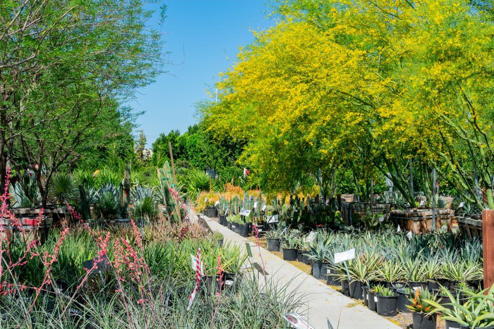 Photo of Moon Valley Nurseries Arcadia