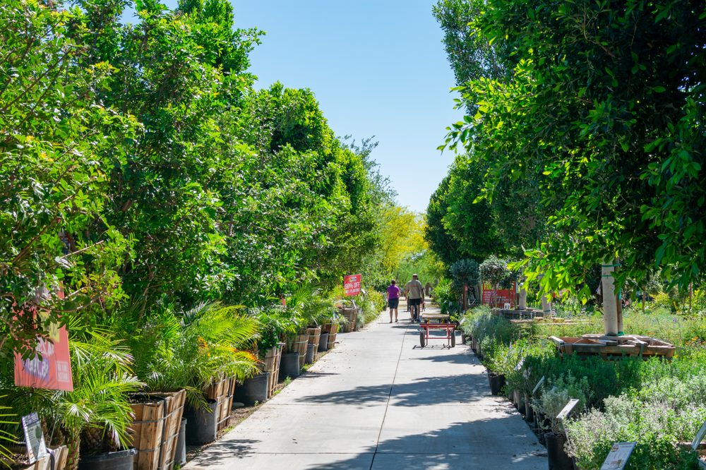 Photo of Moon Valley Nurseries Arcadia