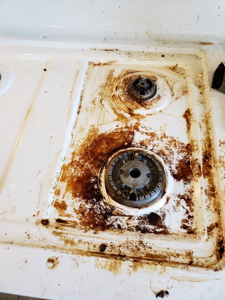Photo of The Clean