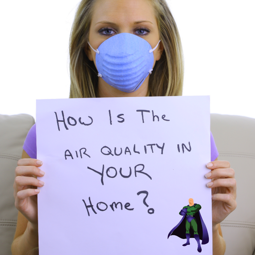 Photo of Mr. Mold - Mold Removal Experts