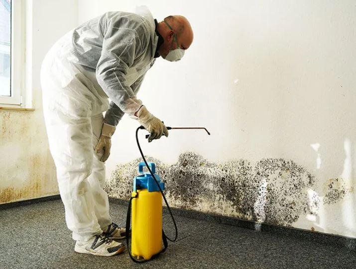 Photo of Mr. Mold - Mold Removal Experts