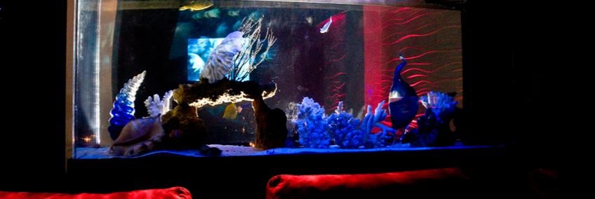 Photo of Deep Lounge
