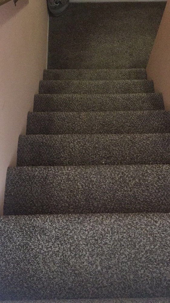 Photo of Show Me Carpet Cleaning
