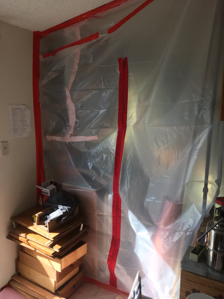 Photo of American Mold Services