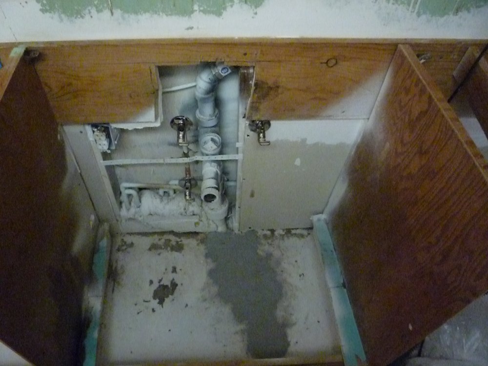 Photo of American Mold Services