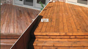Photo of Evergreen Mobile Auto Detail Services