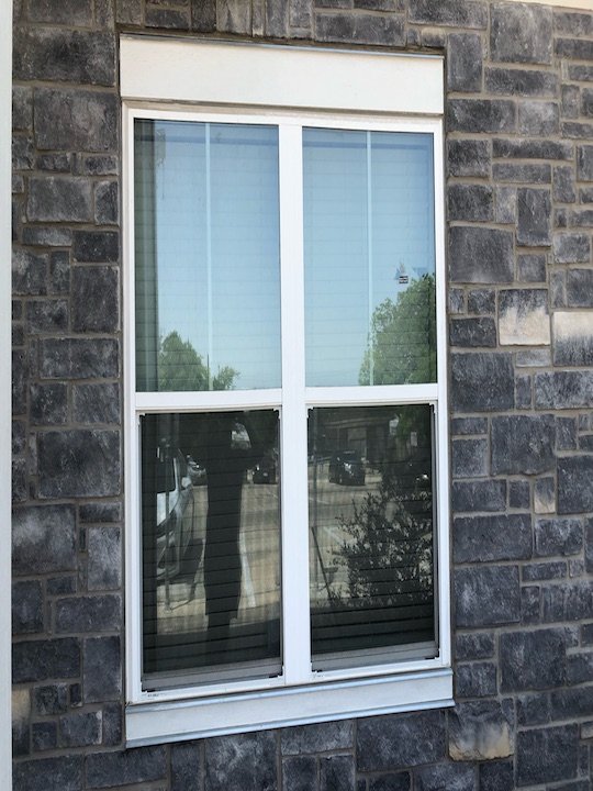 Photo of Bluebonnet Windows
