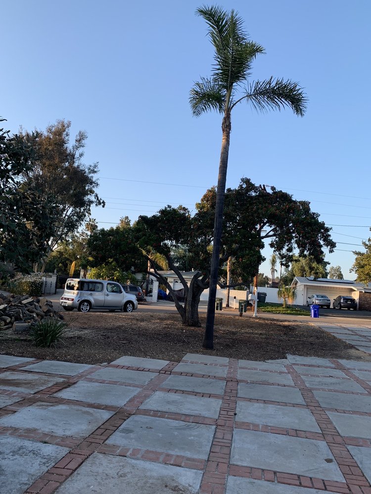 Photo of Artistic Arborist