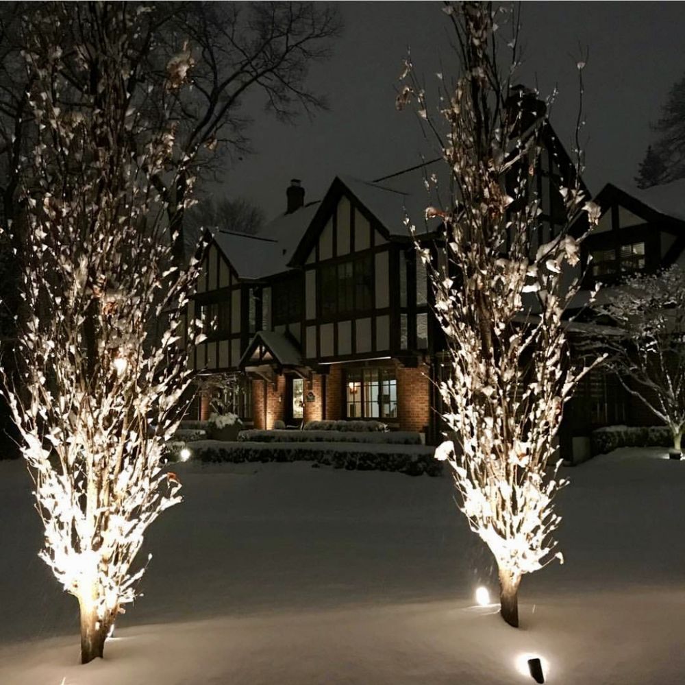 Photo of Custom Environments Landscape and Design