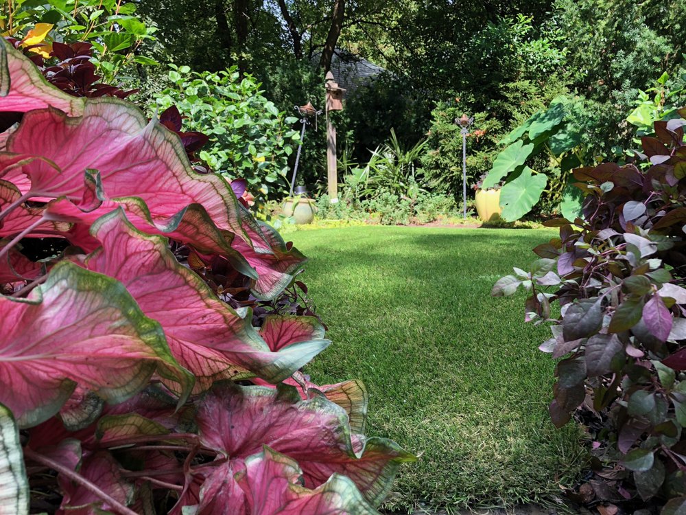 Photo of ForeverLawn Georgia