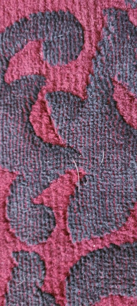 Photo of Northcenter Rug Cleaners