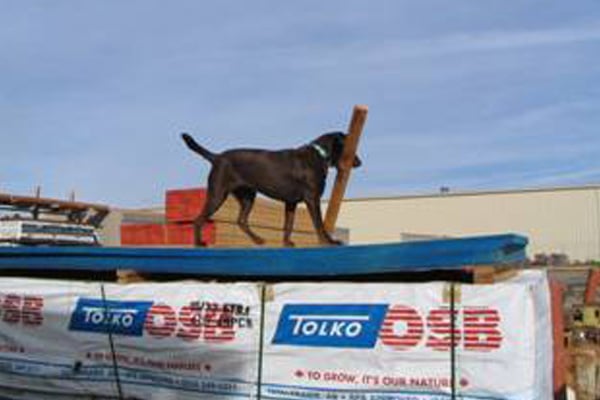 Photo of Osborne Lumber Company