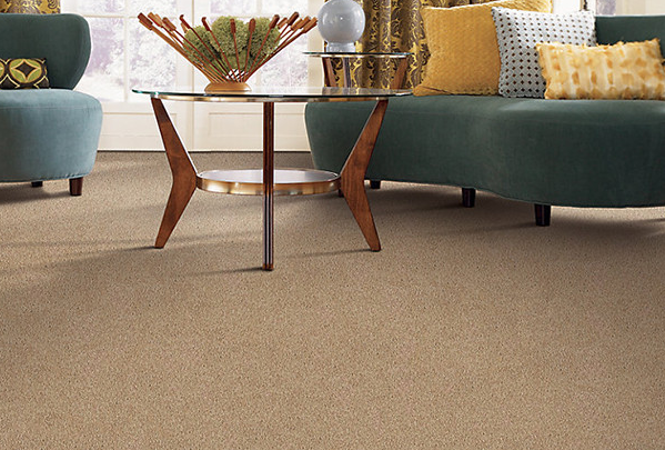 Photo of Floors for Less