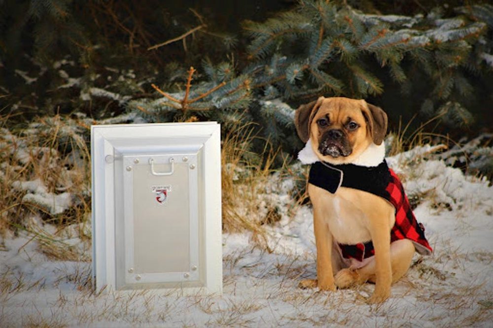 Photo of Pet Doors Of Fort Worth