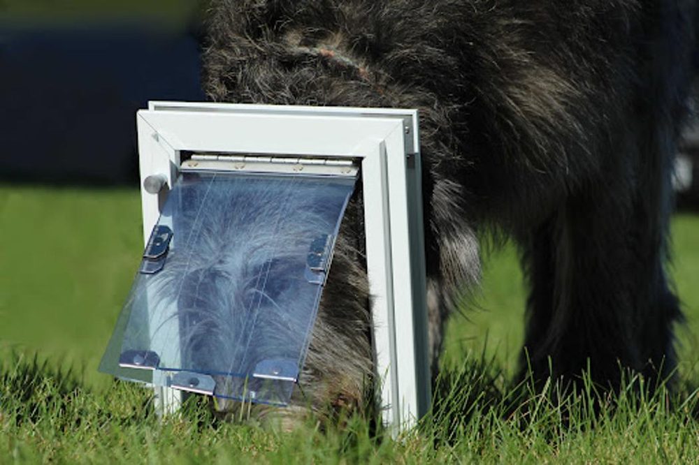 Photo of Pet Doors Of Fort Worth