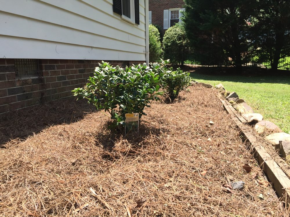 Photo of Reliant Earthworks & Landscaping