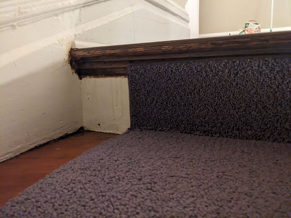 Photo of Floor Pros