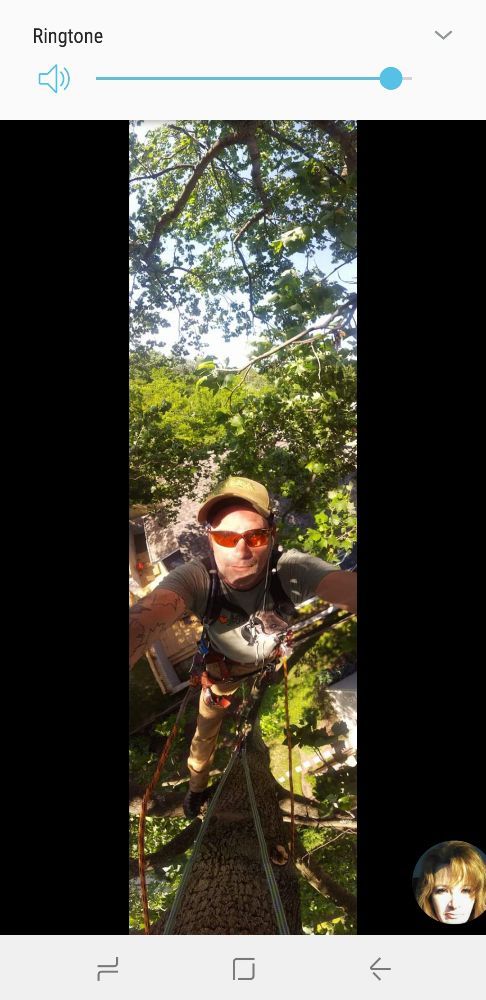 Photo of Price Tree Care