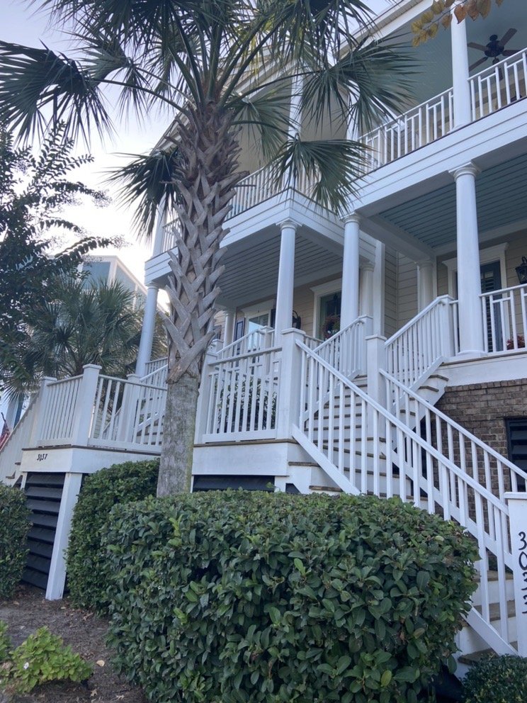 Photo of Meg Watson - Charleston Real Estate