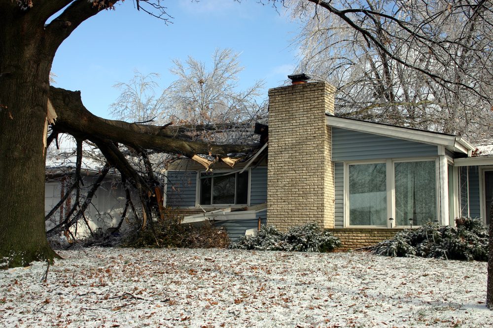 Photo of Claims Advocacy Center