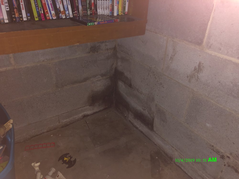 Photo of Dry Ease Mold Removal NYC