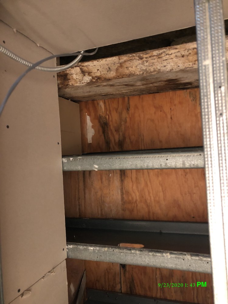 Photo of Dry Ease Mold Removal NYC