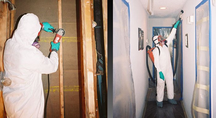 Photo of Dry Ease Mold Removal NYC