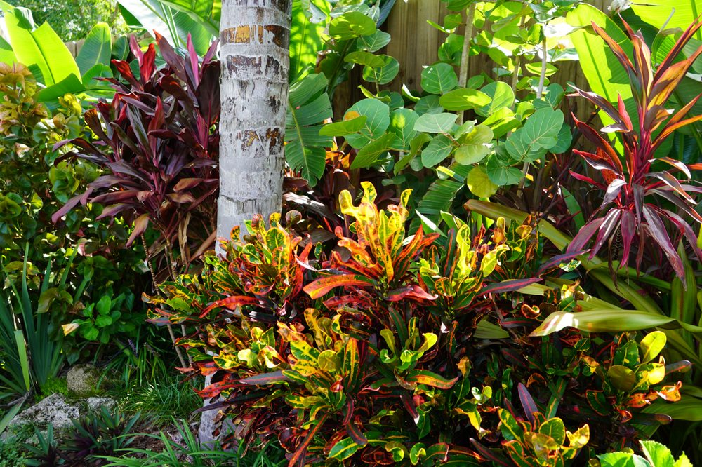 Photo of Serenoa Landscape Design