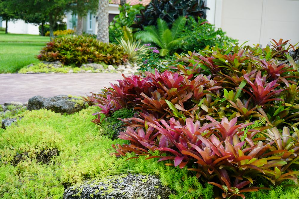 Photo of Serenoa Landscape Design