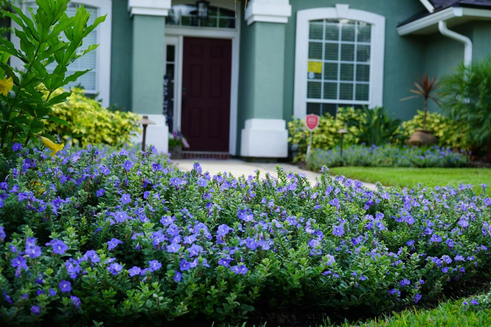Photo of Serenoa Landscape Design