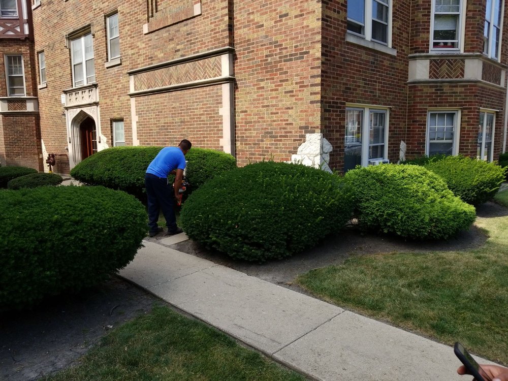 Photo of Solis landscaping designs