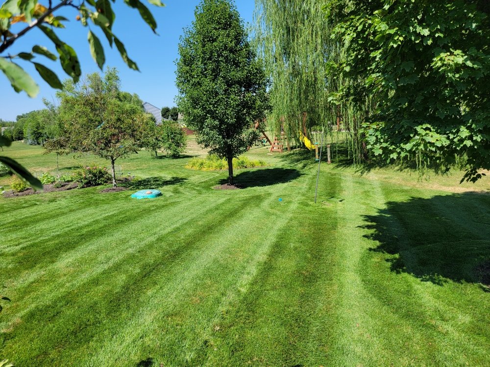 Photo of Grateful Grass Lawn and Landscape Maintenance