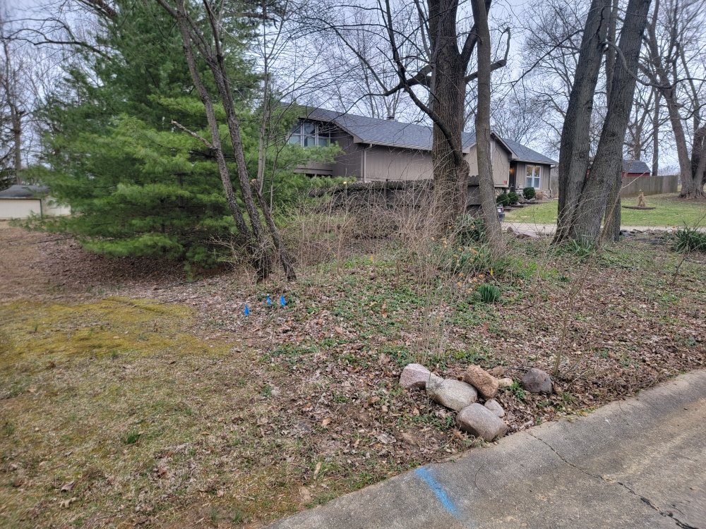Photo of Grateful Grass Lawn and Landscape Maintenance