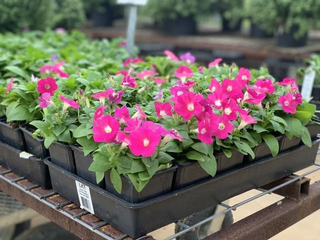 Photo of Meador's Garden Center & Landscaping